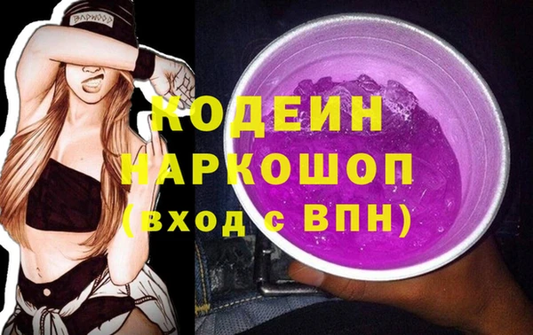 прущий лед Алзамай