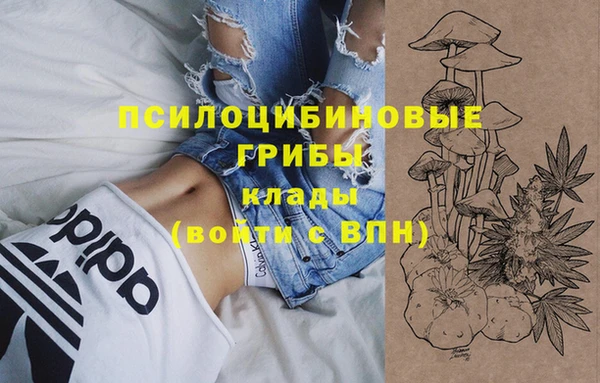 мескалин Алексин