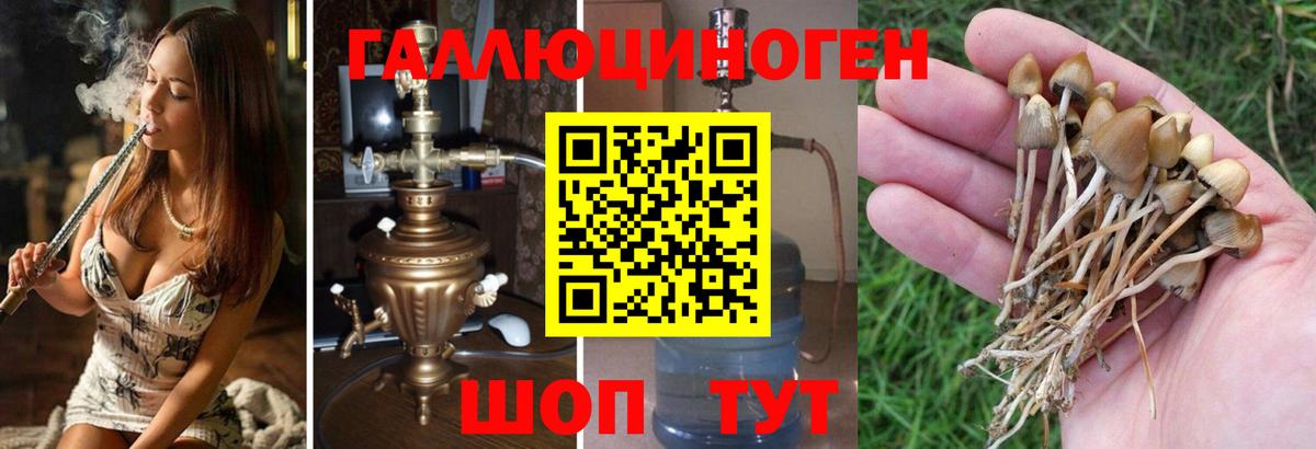 Галлюциногенные грибы мухоморы  Вход с VPN  где продают   Нижнеудинск 